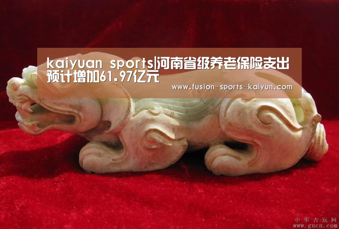 kaiyuan sports|河南省级养老保险支出预计增加61.97亿元(图1) kaiyuan sports