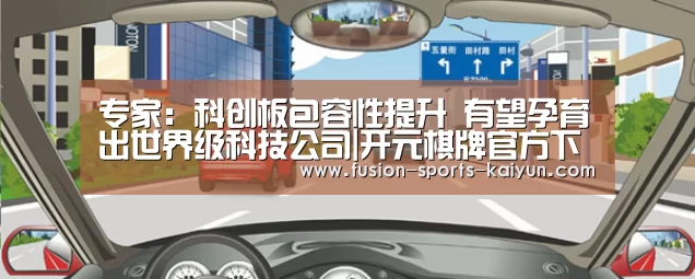 专家:科创板包容性提升 有望孕育出世界级科技公司|开元棋牌官方下载(图2) 开元棋牌app