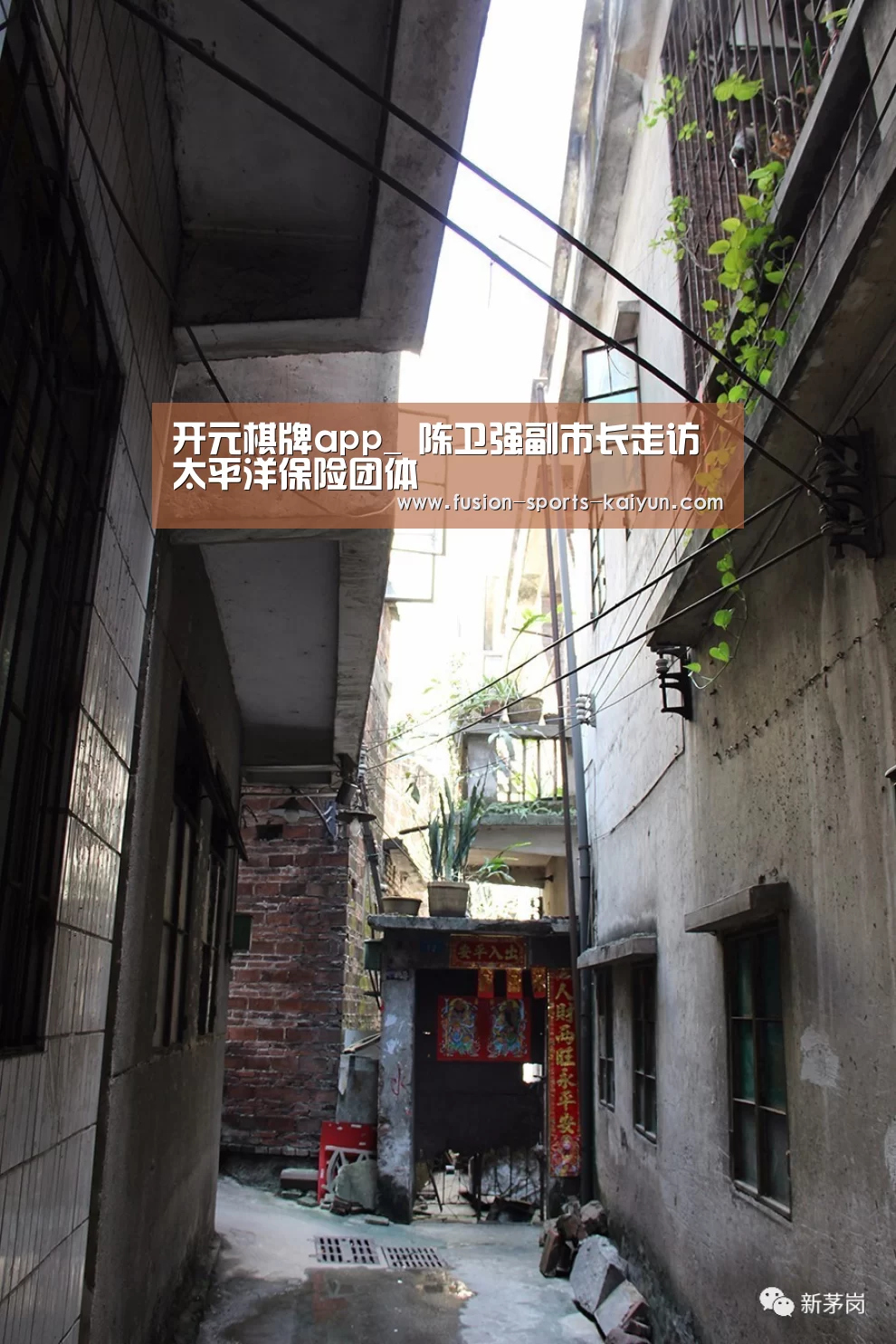 开元棋牌app_
陈卫强副市长走访太平洋保险团体(图1) kaiyuan sports