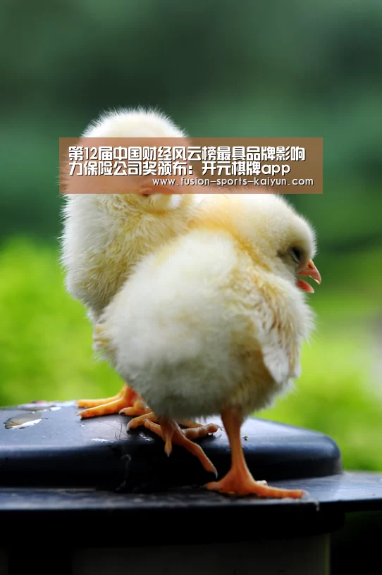 开元棋牌app