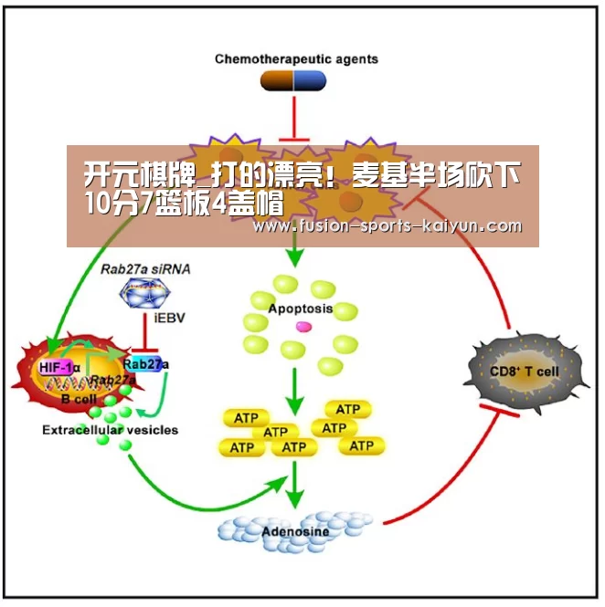 开元棋牌_打的漂亮!麦基半场砍下10分7篮板4盖帽(图1) 开元棋牌app